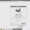 gimp2.4