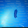 Linux-Lite-4.8