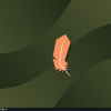 Linux-Lite-5.8